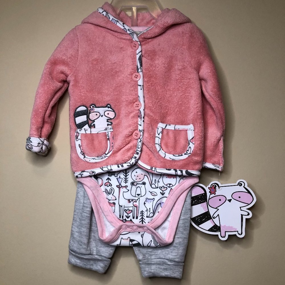 NWT Baby 3 Piece Girls Outfit